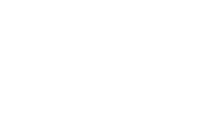 Valor – brand